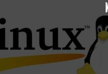 Почему и как Linux стал набирать популярность